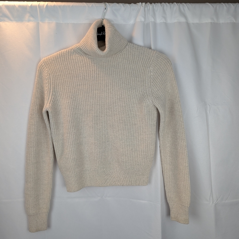 Aritzia Wilfred Laurel Turtleneck sweater size 2XS in EUC